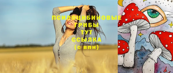 хмурый Алексеевка