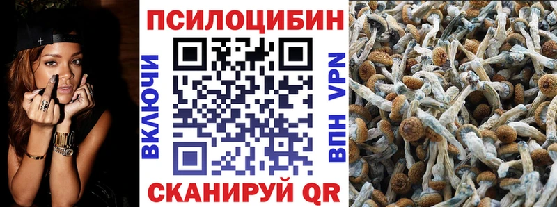 Галлюциногенные грибы MAGIC MUSHROOMS  Бобров 